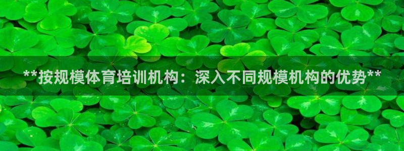 焦点娱乐加速器下载安卓：**按规模体育培训机构：深入
