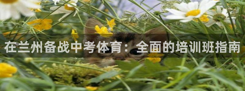 焦点娱乐如何注册账号和密码呢：在兰州备战中考体育：全