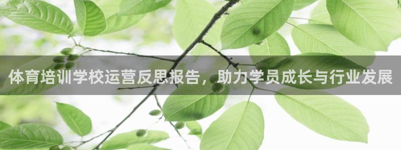 焦点娱乐公司简介怎么写：体育培训学校运营反思报告，助