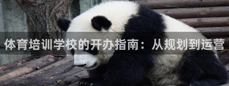焦点娱乐招商注册 知乎：体育培训学校的开办指南：从规