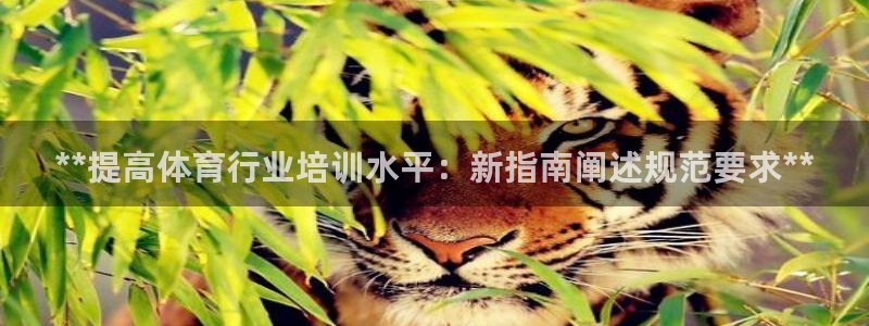 焦点娱乐平台登录不了了：**提高体育行业培训水平：新