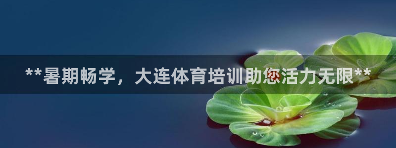 焦点娱乐讲7O777：**暑期畅学，大连体育培训助您