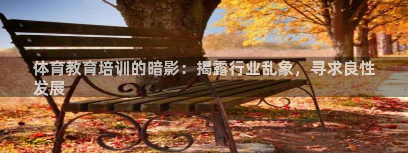 焦点娱乐官网下载安装苹果手机：体育教育培训的暗影：揭