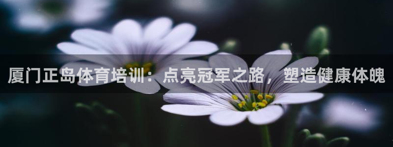 焦点娱乐总代理：厦门正岛体育培训：点亮冠军之路，塑造