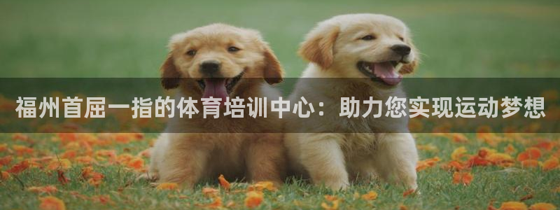 焦点娱乐app下载安装苹果：福州首屈一指的体育培训中