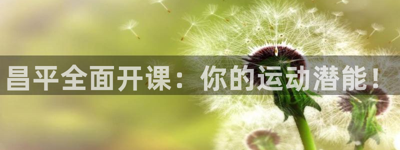 焦点娱乐官方网站首页入口下载：昌平全面开课：你的运动