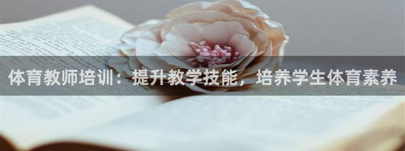 焦点娱乐挂机版下载