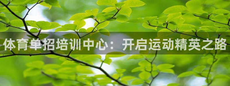 焦点娱乐如何注册账号和密码登录：体育单招培训中心：开
