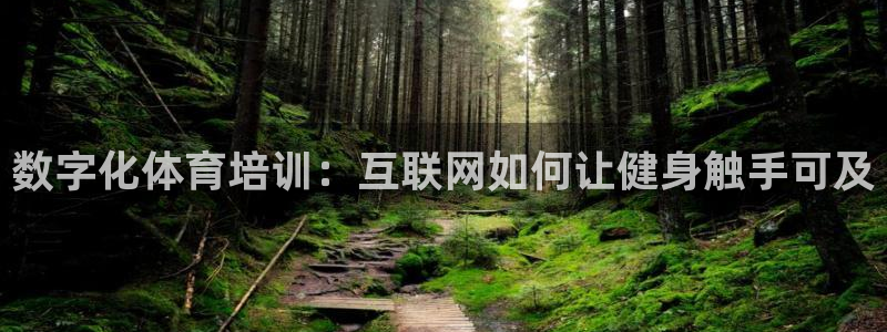 焦点娱乐游戏攻略视频：数字化体育培训：互联网如何让健