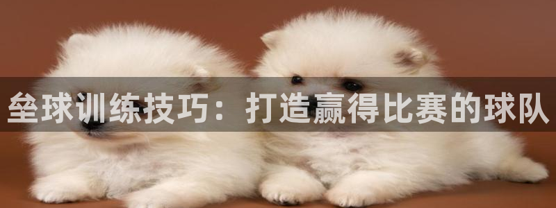 焦点娱乐平台注册账号怎么注销掉：垒球训练技巧：打造赢