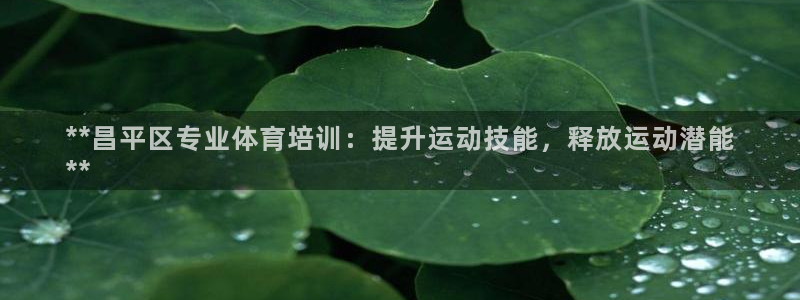 焦点娱乐传媒有限公司：**昌平区专业体育培训：提升运