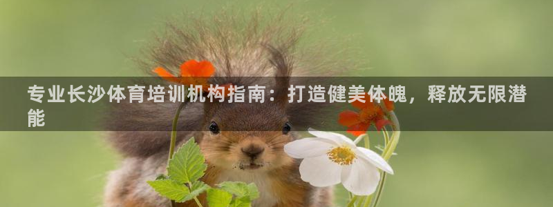 焦点娱乐app下载苹果版：专业长沙体育培训机构指南：