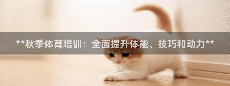 焦点娱乐佳 411O31 焦点：**秋季体育培训：全