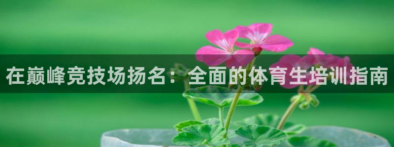 焦点娱乐传媒有限公司：在巅峰竞技场扬名：全面的体育生