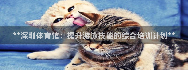 焦点娱乐是黑平台吗是真的吗：**深圳体育馆：提升游泳