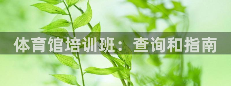 焦点娱乐股东：体育馆培训班：查询和指南
