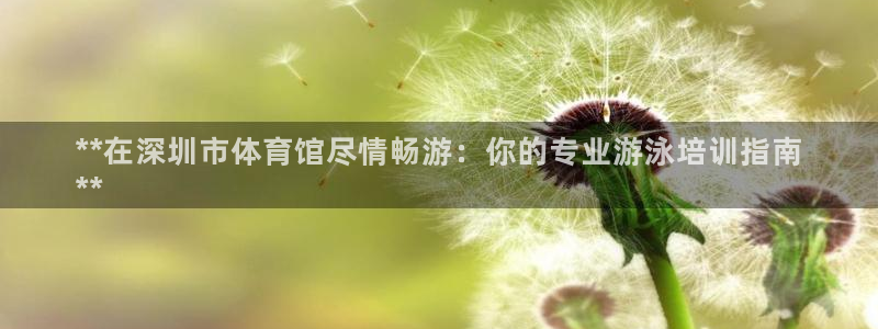 焦点娱乐股东：**在深圳市体育馆尽情畅游：你的专业游