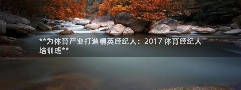焦点娱乐总代理是谁：**为体育产业打造精英经纪人：2