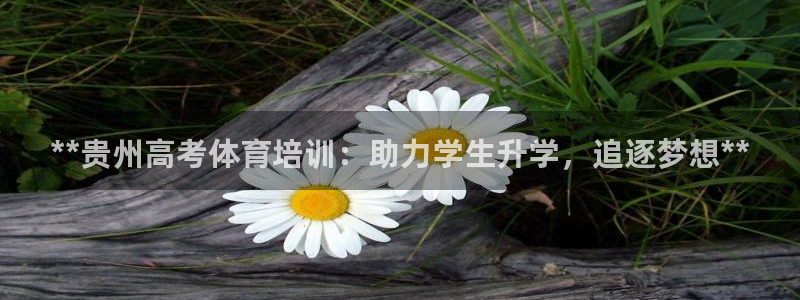 焦点娱乐黑平台