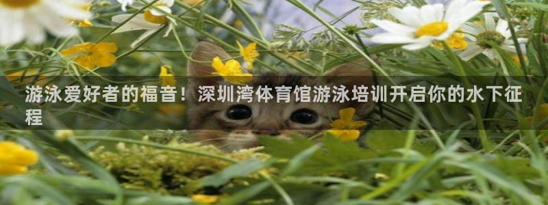 焦点娱乐皮皮虾视频