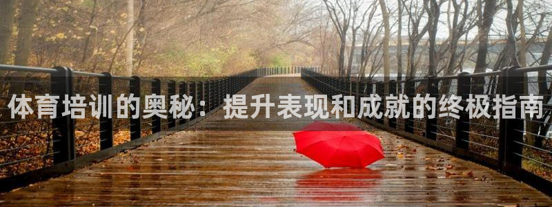 焦点娱乐官网下载安装苹果版：体育培训的奥秘：提升表现