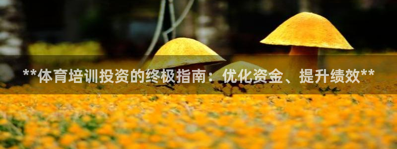 焦点娱乐平台总代理开户：**体育培训投资的终极指南：