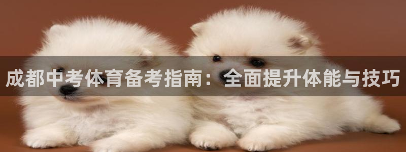 焦点娱乐游戏攻略视频：成都中考体育备考指南：全面提升