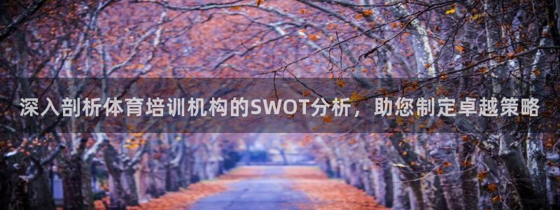 焦点娱乐网站下载地址：深入剖析体育培训机构的SWOT