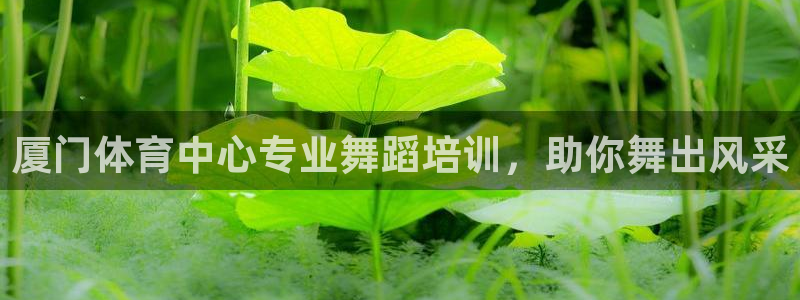 焦点娱乐无法提现怎么回事：厦门体育中心专业舞蹈培训，