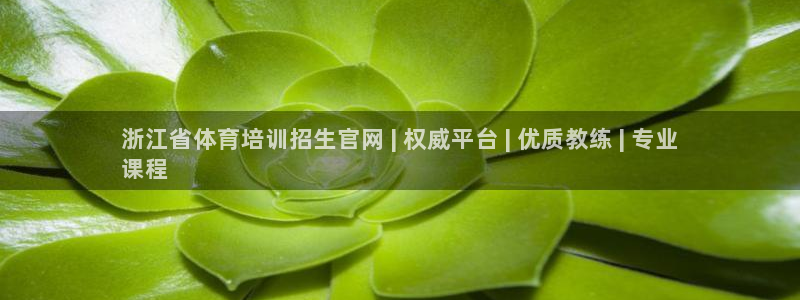 焦点娱乐平台注册账号怎么注销啊：浙江省体育培训招生官