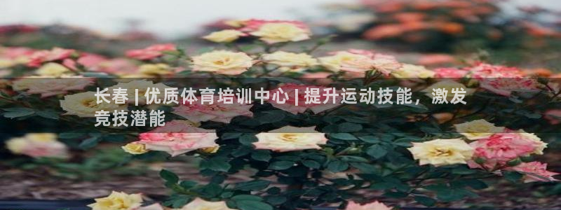 焦点娱乐官方网站入口在线观看下载：长春 | 优质体育