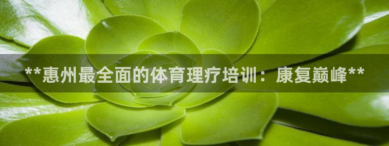 焦点娱乐app下载安装方式最新：**惠州最全面的体育