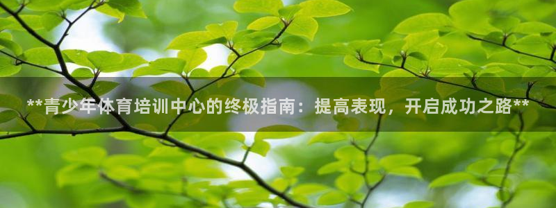 焦点娱乐门徒娱乐骗局：**青少年体育培训中心的终极指