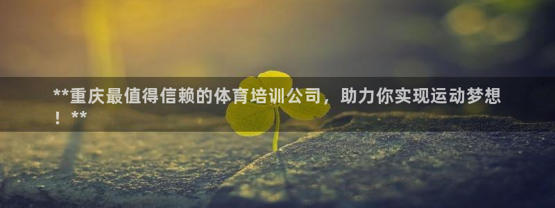焦点娱乐开发：**重庆最值得信赖的体育培训公司，助力
