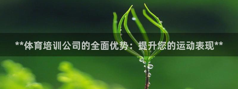 焦点娱乐怎么找客服