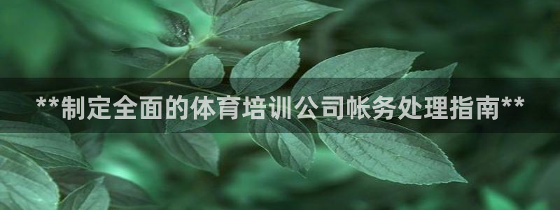 焦点娱乐有限公司招聘：**制定全面的体育培训公司帐务