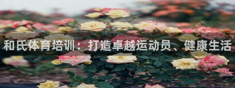焦点娱乐无法提现怎么回事：和氏体育培训：打造卓越运动