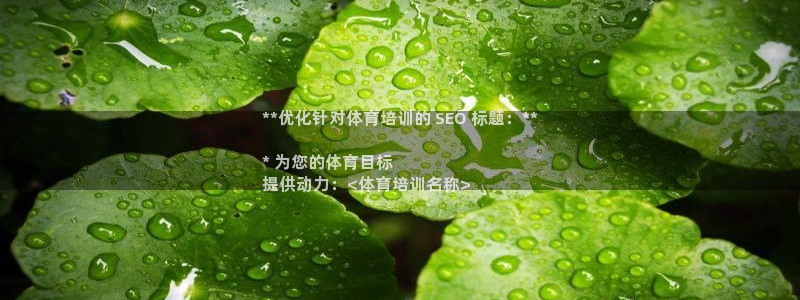 焦点娱乐平台注册账号是什么意思：**优化针对体育培训