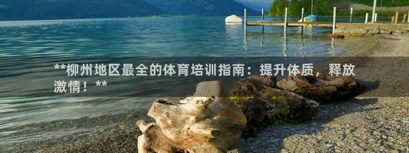 焦点娱乐加速器下载安装