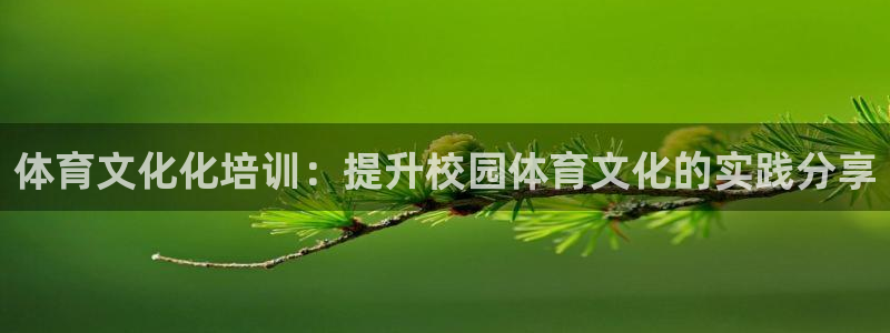 焦点娱乐公司是干嘛的：体育文化化培训：提升校园体育文