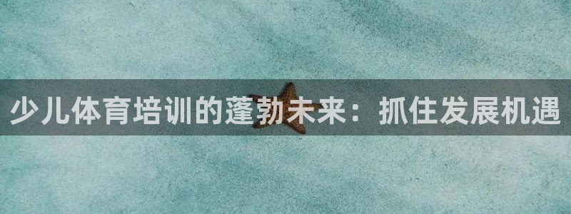 焦点娱乐如何注册账号的：少儿体育培训的蓬勃未来：抓住