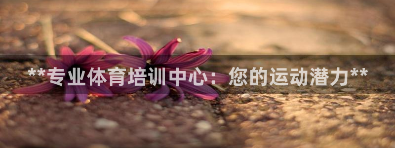 焦点娱乐是什么：**专业体育培训中心：您的运动潜力*