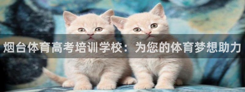焦点娱乐官网下载安装苹果手机：烟台体育高考培训学校：