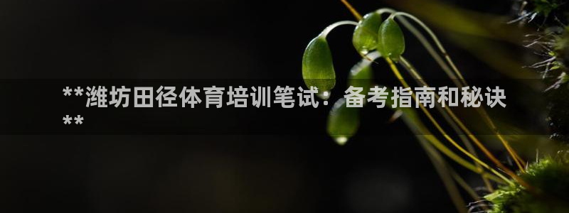焦点娱乐说说怎么写：**潍坊田径体育培训笔试：备考指
