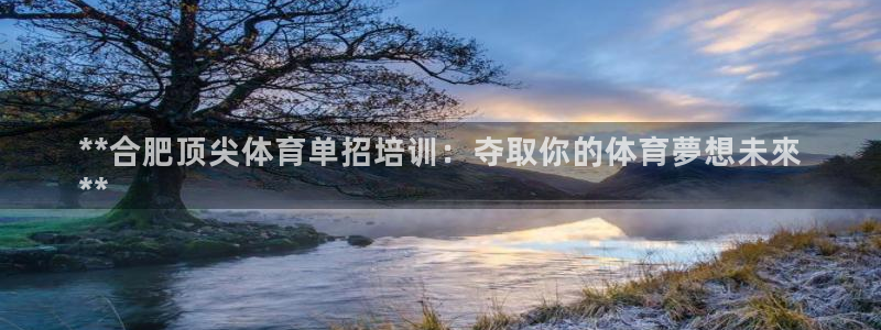 焦点娱乐全国总冠军有哪些