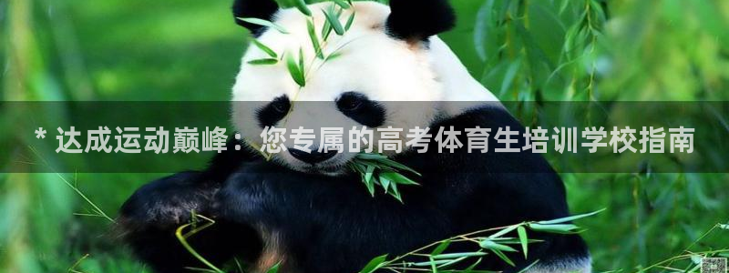 焦点娱乐怎么找导师：* 达成运动巅峰：您专属的高考体