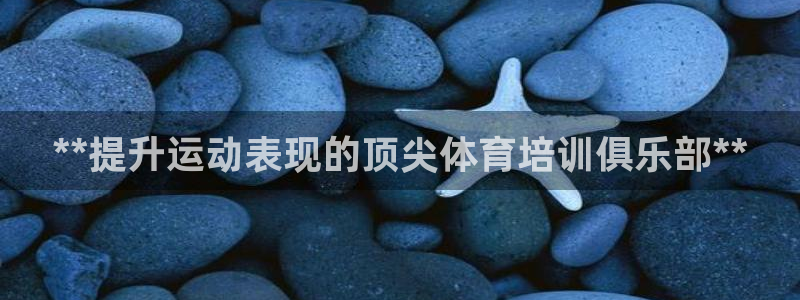 焦点娱乐官网下载安装最新版本：**提升运动表现的顶尖