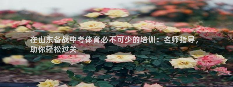 焦点娱乐有限公司招聘：在山东备战中考体育必不可少的培训：名师