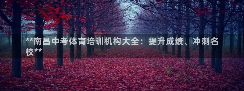 焦点娱乐是哪个公司的：**南昌中考体育培训机构大全：