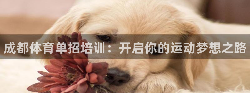 焦点娱乐有限公司电话：成都体育单招培训：开启你的运动